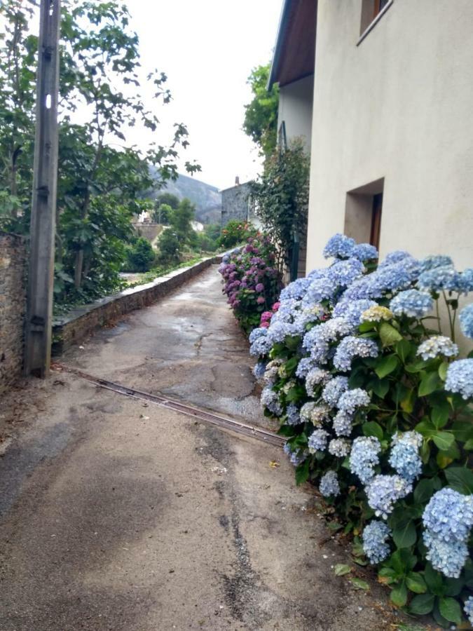 Casa D.Dinis Villa Vide Exteriör bild